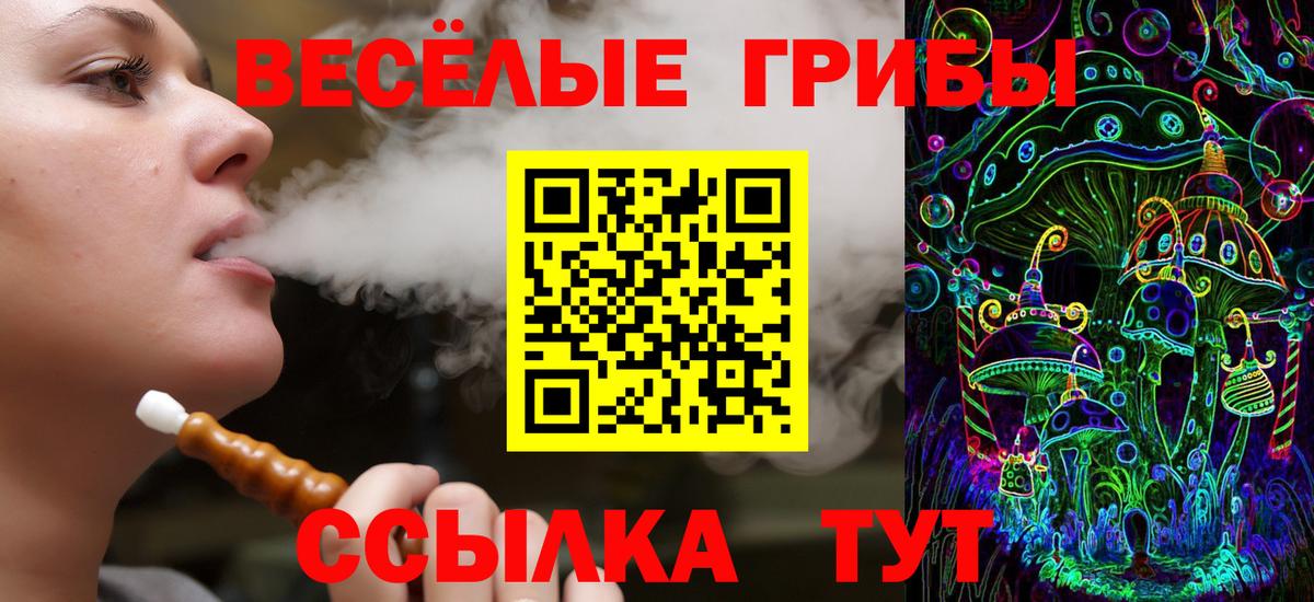 Галлюциногенные грибы Psilocybe Волжский